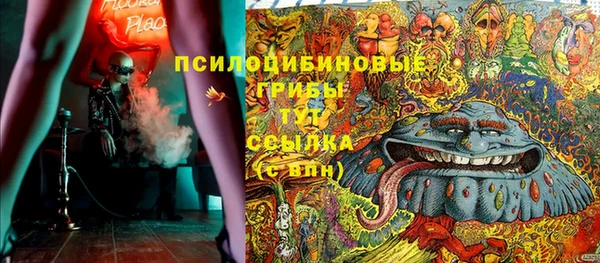 PSILOCYBIN Балабаново