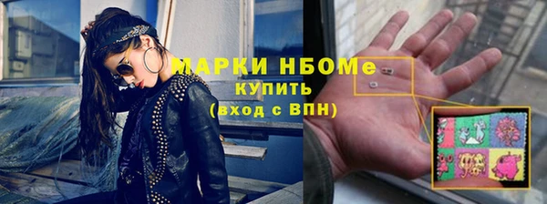 индика Армянск